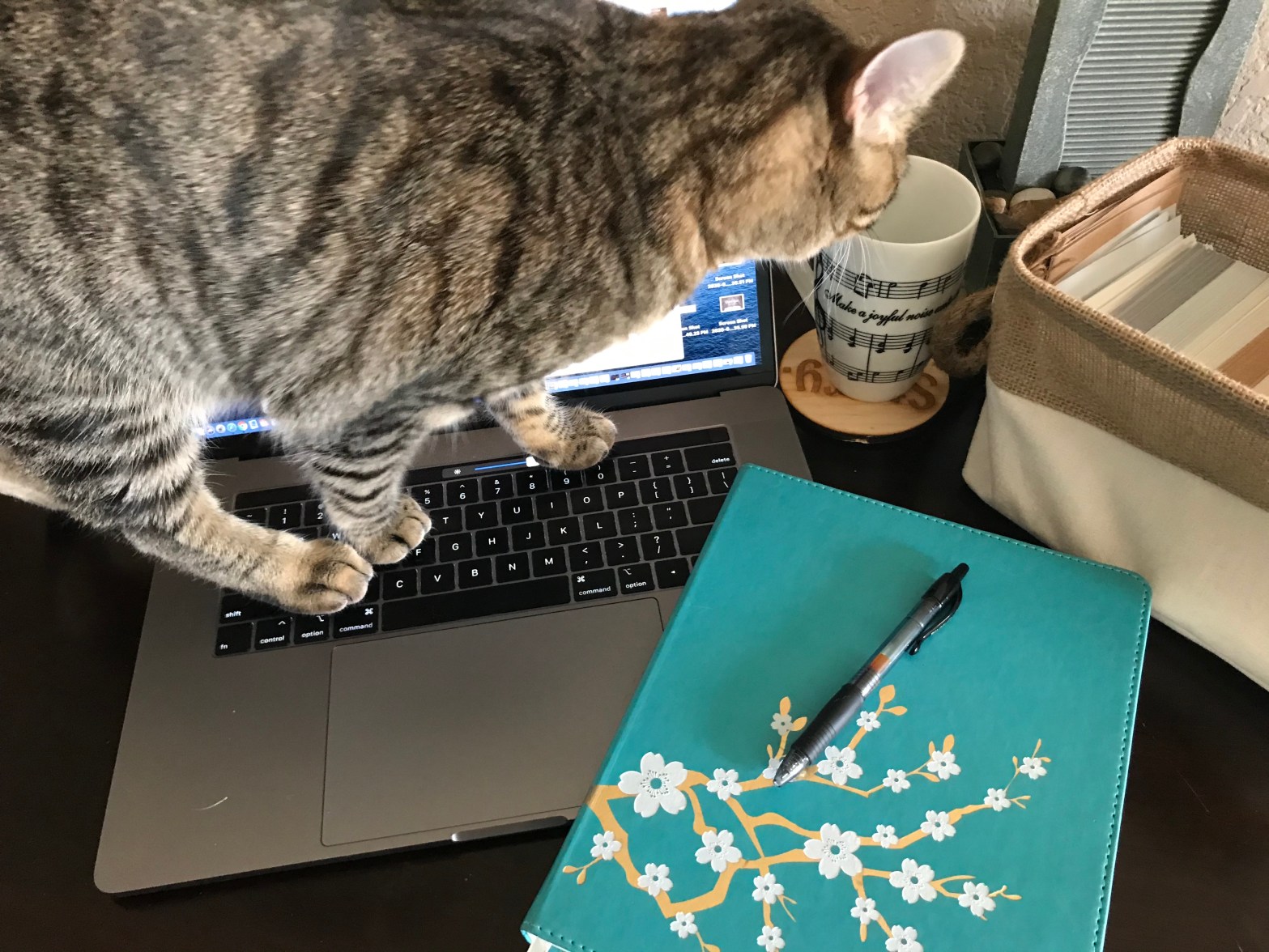 desktop with laptop, mug, journal and pen, and notecards, with my cat standing on top of the laptop keyboard