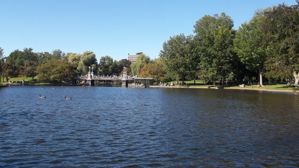 Boston Public Garden's Lagoon