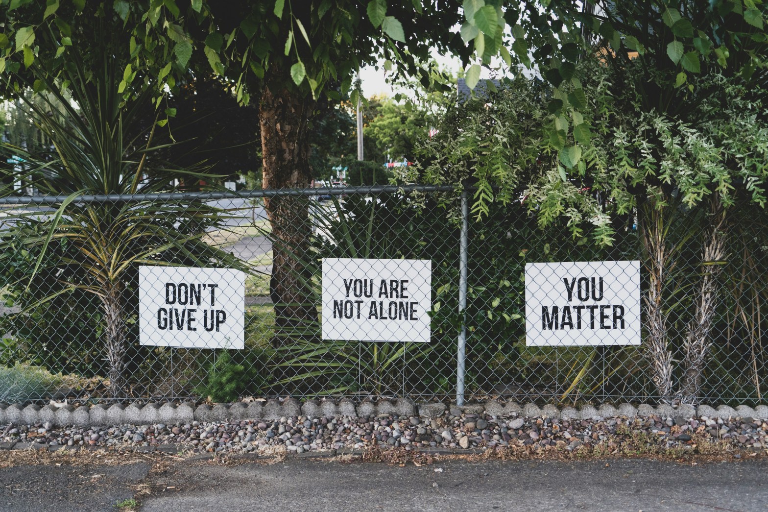 chainlink fence in front of trees with three white signs with black letters, first sign "Don't give up," second sign, "you are not alone," third sign "you matter"