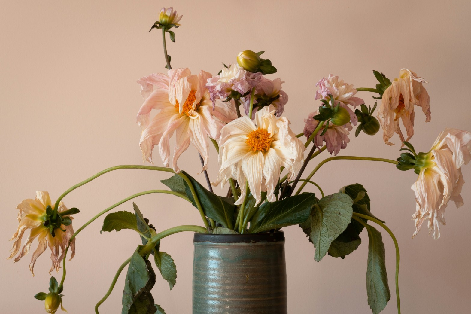 Wilting and dying flowers in a ceramic pot